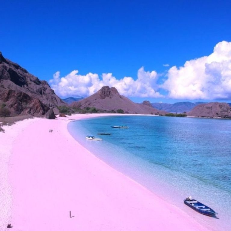 Trip Harian Snorkeling Pantai Pink