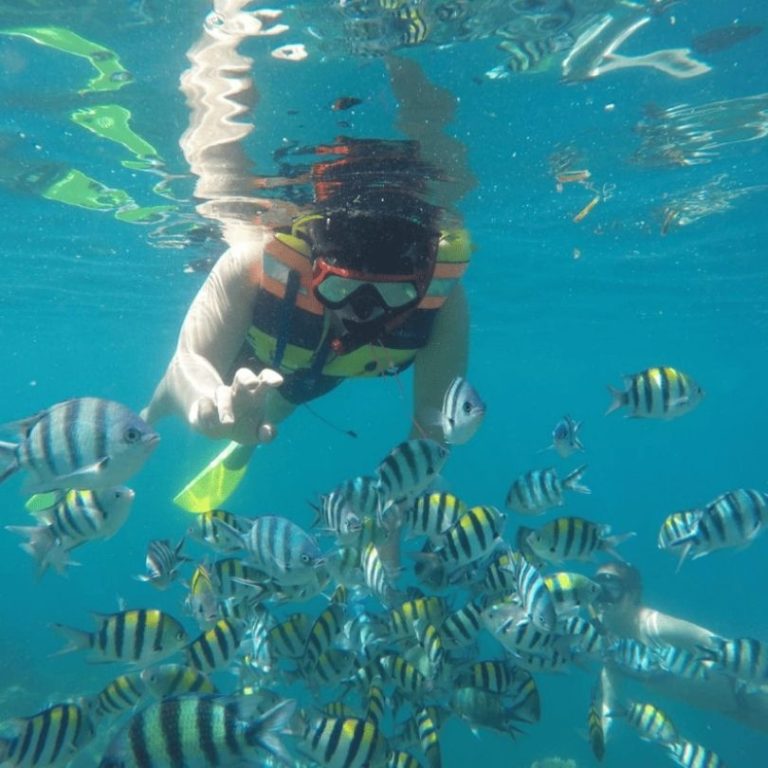 Trip Harian Snorkeling Gili Nanggu